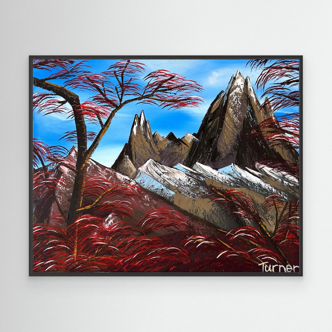 'Fitz Roy'