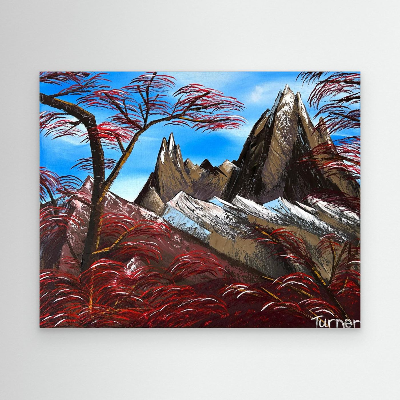'Fitz Roy'